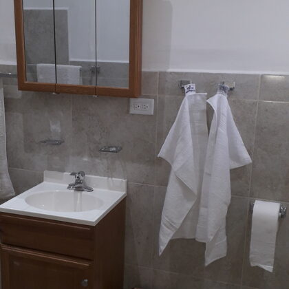 Baño, vista del lavamano y del nueble con espejo
