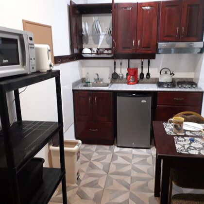 Aparthotel Boquete: the kitchen with breakfast table, microwave, toaster, gas stove