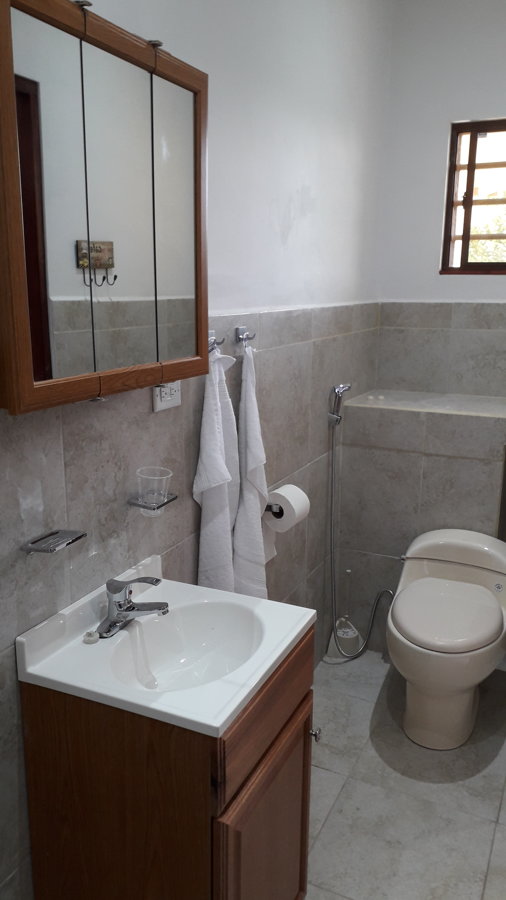 Boquete Apartments - vista del baño con botiquín, WC / bidet y lavamano.